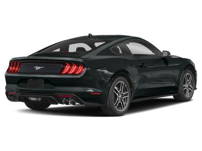 2022 Ford Mustang Base