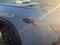 2024 Nissan Frontier Crew Cab PRO-4X 4x4